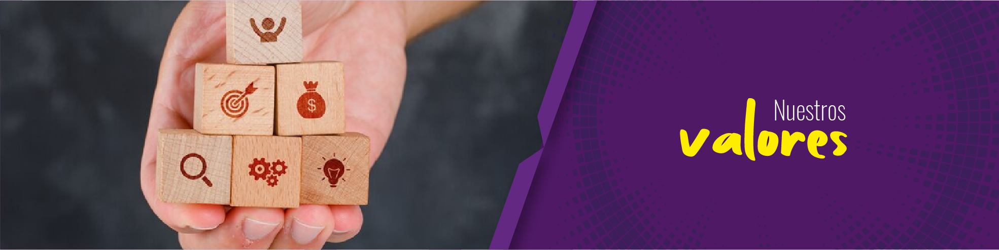 BANNER PÁGINA_2_Mesa de trabajo 1 copia
